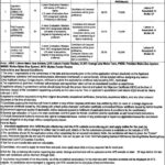 THE PUNJAB MASSTRANSIT AUTHORITY Jobs July 2025